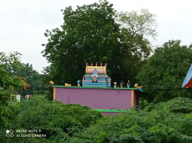 Arulmigu Periyandavar Temple, Varappukurichi - 621704 Arulmigu Periyandavar Temple, Varappukurichi - 621704, Ariyalur - Ancient Temple Architecture and History Image 2