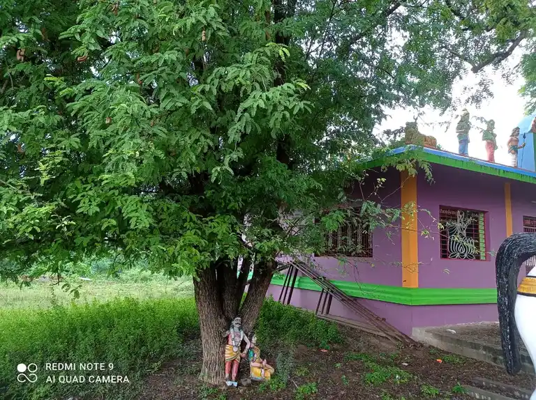 Arulmigu Periyandavar Temple, Varappukurichi - 621704 Arulmigu Periyandavar Temple, Varappukurichi - 621704, Ariyalur - Ancient Temple Architecture and History Image 3