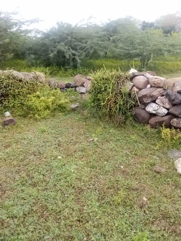 Arulmigu Periyannaswamy Temple, Maniyampatti - 621006 Arulmigu Periyannaswamy Temple, Maniyampatti - 621006, Thiruchirappalli - Ancient Temple Architecture and History Image 5