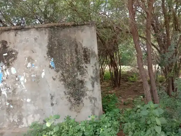 Arulmigu Periyaswamy Temple, Panayur - 613203 அருள்மிகு பெரியசாமி திருக்கோயில், Panayur - 613203, Thanjavur - Ancient Temple Architecture and History Image 3