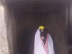 Arulmigu Periyathambiran Temple, Neiveli - 621217 Arulmigu Periyathambiran Temple, Neiveli - 621217, Thiruchirappalli - Ancient Temple Architecture and History Image 2