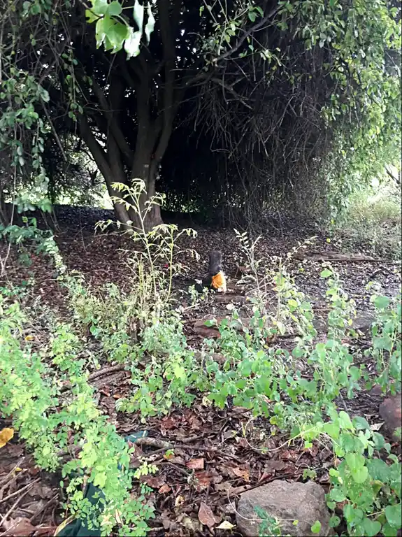 Arulmigu Periyathampiran Temple, Kallanai - 625501