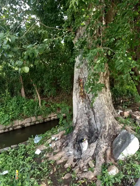 Arulmigu Periyathampiran Temple, Kondayamaptti - 625221