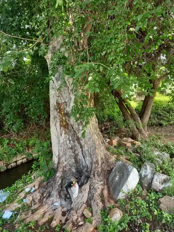 Arulmigu Periyathampiran Temple, Kondayamaptti - 625221 பெரியதம்பிரான் கோயில், Kondayamaptti - 625221, Madurai - Ancient Temple Architecture and History Image 3