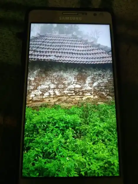 Arulmigu Perumal Kaliyamman Temple, Mudiyankulipatti - 637411