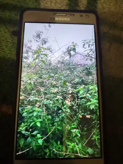 Arulmigu Perumal Kaliyamman Temple, Mudiyankulipatti - 637411 அருள்மிகு பெருமாள் காளியம்மன் திருக்கோயில், முதியங்குளிப்பட்டி - 637411, Namakkal - Ancient Temple Architecture and History Image 4