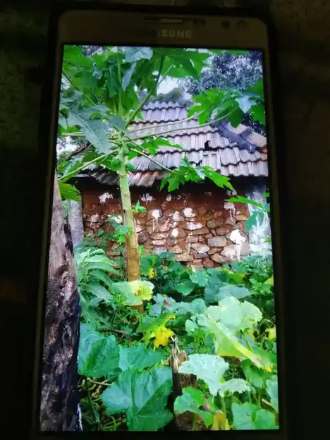 Arulmigu Perumal Kaliyamman Temple, Mudiyankulipatti - 637411 அருள்மிகு பெருமாள் காளியம்மன் திருக்கோயில், முதியங்குளிப்பட்டி - 637411, Namakkal - Ancient Temple Architecture and History Image 6