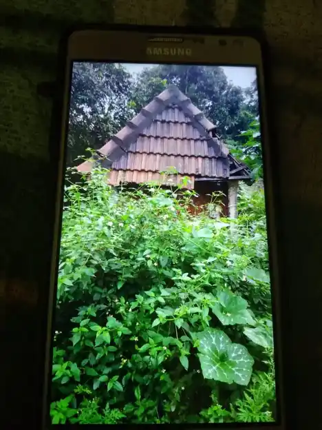 Arulmigu Perumal Kaliyamman Temple, Mudiyankulipatti - 637411 அருள்மிகு பெருமாள் காளியம்மன் திருக்கோயில், முதியங்குளிப்பட்டி - 637411, Namakkal - Ancient Temple Architecture and History Image 7