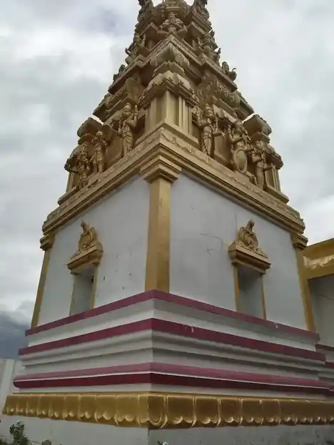 Arulmigu Perumal Swami Temple, Nariyaneri - 635901 அருள்மிகு பெருமாள்சாமி திருக்கோயில், நரியனேரி - 635901, Thirupathur - Ancient Temple Architecture and History Image 2