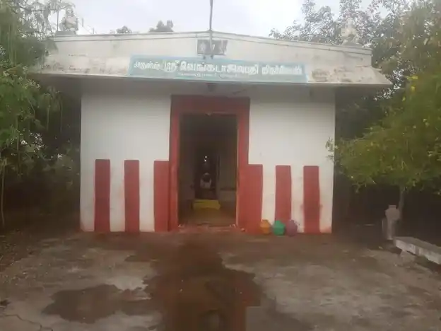 Arulmigu Perumal Swami Temple, Near Navaneethakrishnan Swami Temple, Veerakeralamputhur - 627806 அருள்மிகு பெருமாள் சுவாமி திருக்கோயில், Near Navaneethakrishnan Swami Temple, Veerakeralamputhur - 627806, Tenkasi - Ancient Temple Architecture and History Image 3