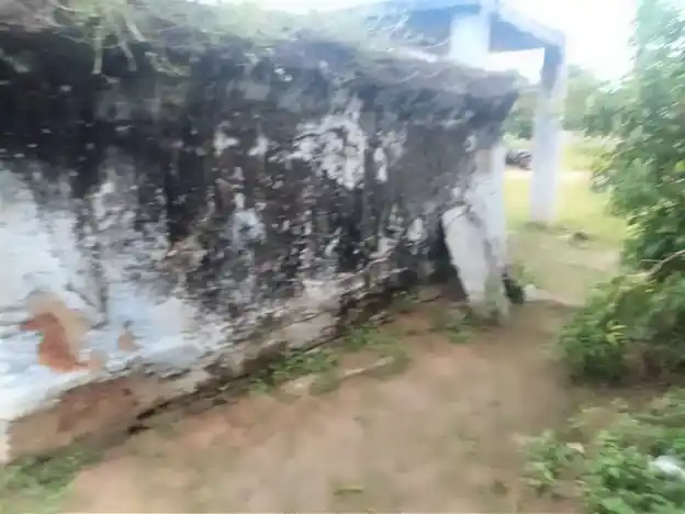 Arulmigu Perumal Swamy Temple, Bommasamuthiram - 635112 அருள்மிகு பெருமாள்சாமி திருக்கோயில், பொம்மசமுத்திரம் - 635112, Krishnagiri - Ancient Temple Architecture and History Image 2