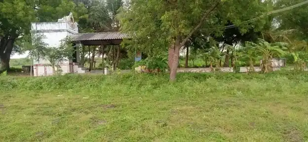 Arulmigu Perumal Temple, Alagusirai - 625704 அருள்மிகு பெருமாள் திருக்கோயில், Alagusirai - 625704, Madurai - Ancient Temple Architecture and History Image 2