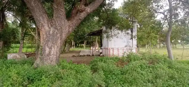 Arulmigu Perumal Temple, Alagusirai - 625704 அருள்மிகு பெருமாள் திருக்கோயில், Alagusirai - 625704, Madurai - Ancient Temple Architecture and History Image 3