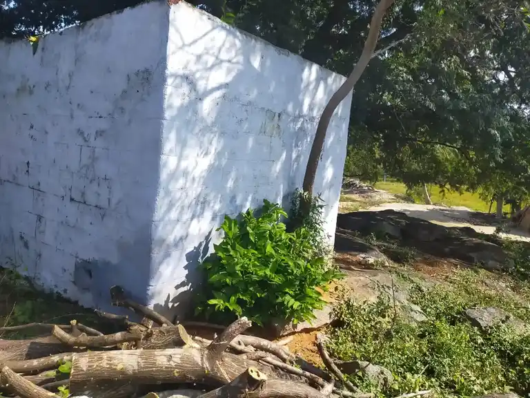 Arulmigu Perumal Temple, Belavarthi - 635120 அருள்மிகு பெருமாள் திருக்கோயில், பெலவர்த்தி - 635120, Krishnagiri - Ancient Temple Architecture and History Image 3