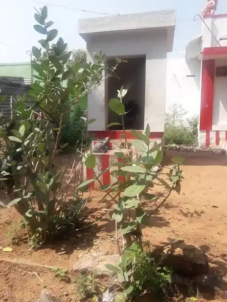 Arulmigu Perumal Temple, Boothipuram - 625532 அருள்மிகு பெருமாள் திருக்கோயில், Boothipuram - 625532, Madurai - Ancient Temple Architecture and History Image 3