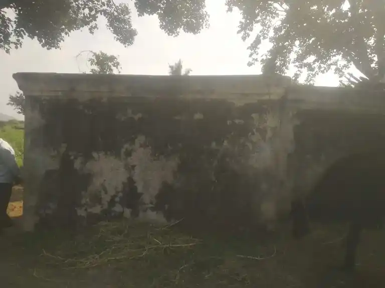 Arulmigu Perumal Temple, Chikkadoranabetta - 636806 அருள்மிகு பெருமாள் திருக்கோயில், Chikkadoranabetta - 636806, Dharmapuri - Ancient Temple Architecture and History Image 2