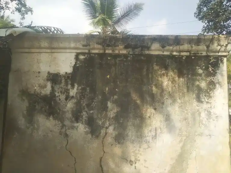 Arulmigu Perumal Temple, Chikkadoranabetta - 636806 அருள்மிகு பெருமாள் திருக்கோயில், Chikkadoranabetta - 636806, Dharmapuri - Ancient Temple Architecture and History Image 4