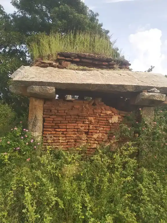 Arulmigu Perumal Temple, Chikkapuvathi, Alappati - 635122 Temple