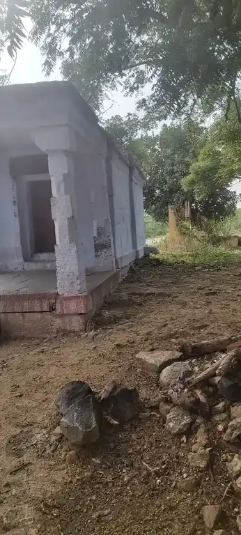 Arulmigu Perumal Temple, Chokkalingapuram - 628502 அருள்மிகு பெருமாள் திருக்கோயில், Chokkalingapuram - 628502, Thoothukudi - Ancient Temple Architecture and History Image 5