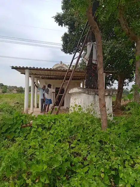Arulmigu Perumal Temple, Erumenahalli - 636808