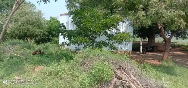 Arulmigu Perumal Temple, Ethilodu - 624219 Arulmigu Perumal Temple, Ethilodu - 624219, Dindigul - Ancient Temple Architecture and History Image 4