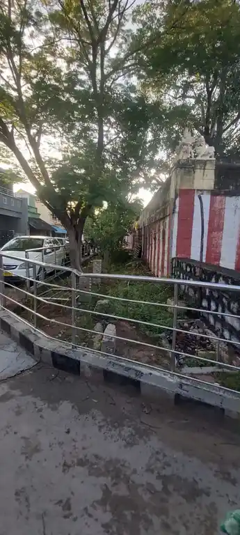 Arulmigu Perumal Temple, Ettayapuram - 628802 அருள்மிகு பெருமாள் திருக்கோயில், Ettayapuram - 628802, Thoothukudi - Ancient Temple Architecture and History Image 2