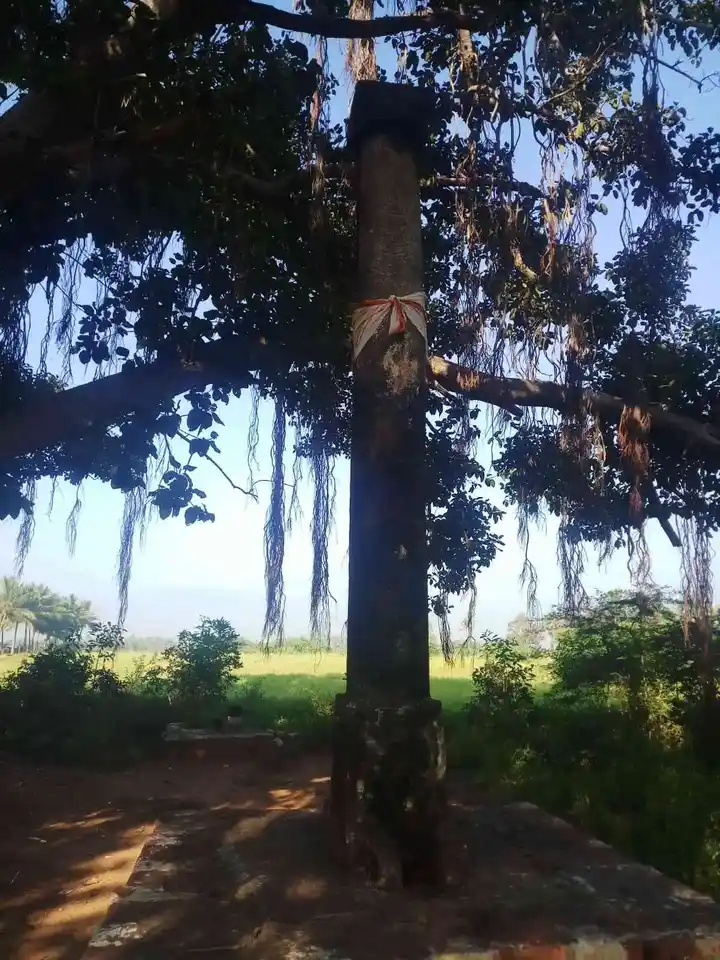 Arulmigu Perumal Temple, Guruvappa Nayakkanpatti - 624002 அருள்மிகு குருவப்ப நாயக்கன்பட்டி பெருமாள் கோயில், Guruvappa Nayakkanpatti, Guruvappa Nayakkanpatti - 624002, Dindigul - Ancient Temple Architecture and History Image 2