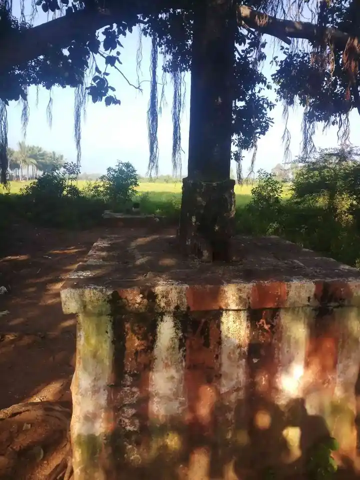 Arulmigu Perumal Temple, Guruvappa Nayakkanpatti - 624002 அருள்மிகு குருவப்ப நாயக்கன்பட்டி பெருமாள் கோயில், Guruvappa Nayakkanpatti, Guruvappa Nayakkanpatti - 624002, Dindigul - Ancient Temple Architecture and History Image 3