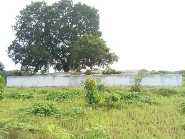 Arulmigu Perumal Temple, Ikondamkothapalle - 635203 அருள்மிகு பெருமாள் திருக்கோயில், ஐகொந்தம்கொத்தப்பள்ளி - 635203, Krishnagiri - Ancient Temple Architecture and History Image 4