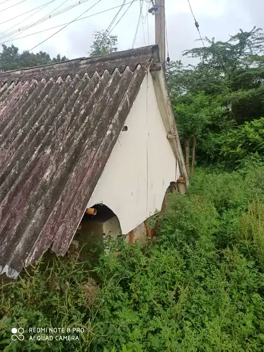 Arulmigu Perumal Temple, Inside The Village, Agaram - 631203 அருள்மிகு பெருமாள் திருக்கோயில், அகரம், Agaram - 631203, Tiruvallur - Ancient Temple Architecture and History Image 5