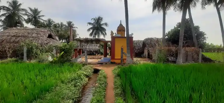 Arulmigu Perumal Temple, Kadappanallur, Kadappanallur - 638311 அருள்மிகு பெருமாள் திருக்கோயில், காடப்பநல்லூர், Kadappanallur - 638311, Erode - Ancient Temple Architecture and History Image 2