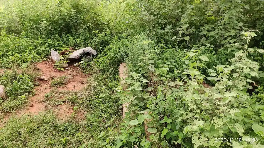 Arulmigu Perumal Temple, Kalluthu - 625537