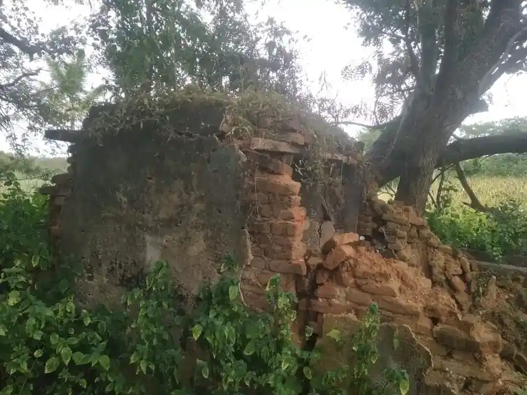 Arulmigu Perumal Temple, Kanavenahalli - 636808 அருள்மிகு பெருமாள் திருக்கோயில், Kanavenahalli - 636808, Dharmapuri - Ancient Temple Architecture and History Image 4