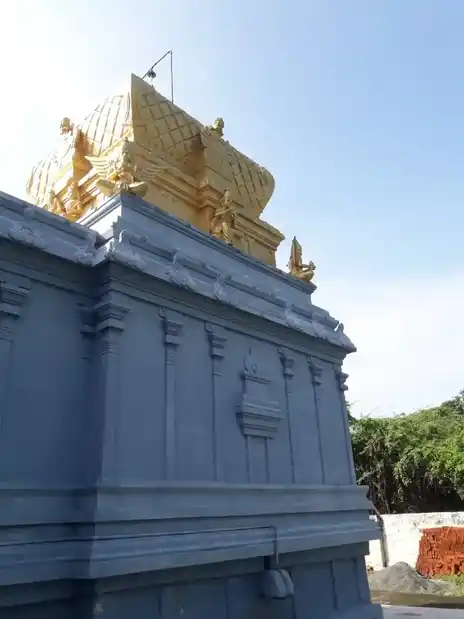 Arulmigu Perumal Temple, Kaniyanur - 632506 அருள்மிகு பெருமாள் திருக்கோயில், கணியனூர் - 632506, Ranipet - Ancient Temple Architecture and History Image 2