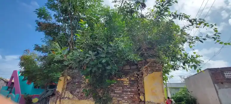 Arulmigu Perumal Temple, Kattalai Kalani - 631001 அருள்மிகு பெருமாள் திருக்கோயில், கட்டளை காலனி - 631001, Ranipet - Ancient Temple Architecture and History Image 3