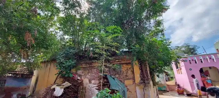 Arulmigu Perumal Temple, Kattalai Kalani - 631001 அருள்மிகு பெருமாள் திருக்கோயில், கட்டளை காலனி - 631001, Ranipet - Ancient Temple Architecture and History Image 4