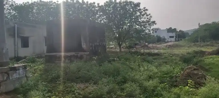 Arulmigu Perumal Temple, Kilavipatti - 628952