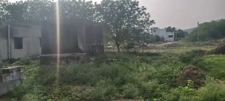 Arulmigu Perumal Temple, Kilavipatti - 628952 அருள்மிகு பெருமாள் திருக்கோயில், Kilavipatti - 628952, Thoothukudi - Ancient Temple Architecture and History Image 2