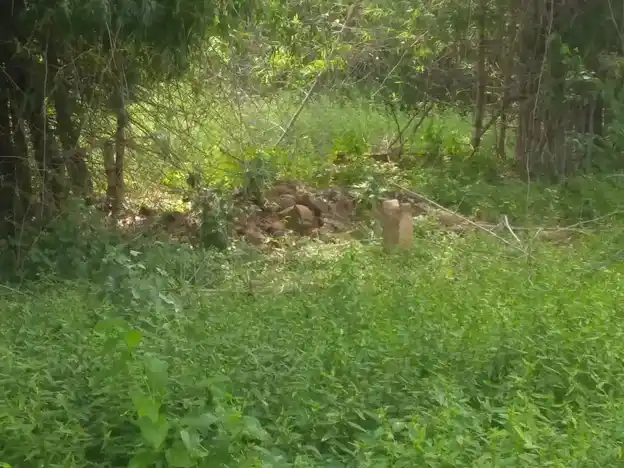 Arulmigu Perumal Temple, Konapatti, Konapatti - 625501 Temple