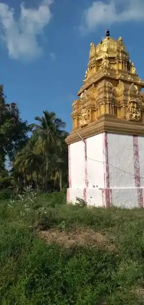 Arulmigu Perumal Temple, Kondamanayakanpatti - 624709