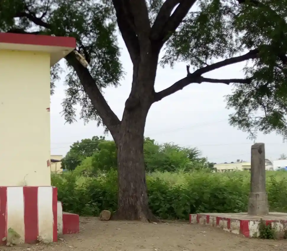 Arulmigu Perumal Temple, Kongalapuram, Kongalapuram - 626123 அருள்மிகு பெருமாள் திருக்கோயில், கொங்கலாபுரம், Kongalapuram - 626123, Virudhunagar - Ancient Temple Architecture and History Image 6
