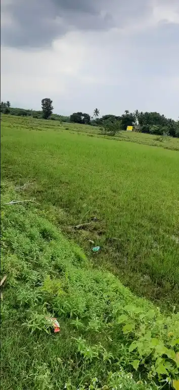 Arulmigu Perumal Temple, Koolapandi - 625014 Temple