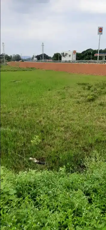 Arulmigu Perumal Temple, Koolapandi - 625014 அருள்மிகு பெருமாள் திருக்கோயில், Koolapandi - 625014, Madurai - Ancient Temple Architecture and History Image 3