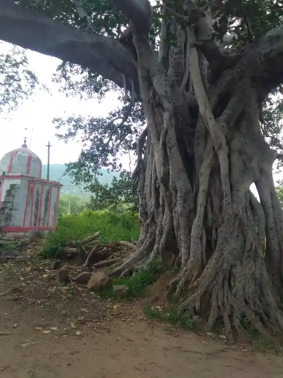 Arulmigu Perumal Temple, Kotaipatti - 624403