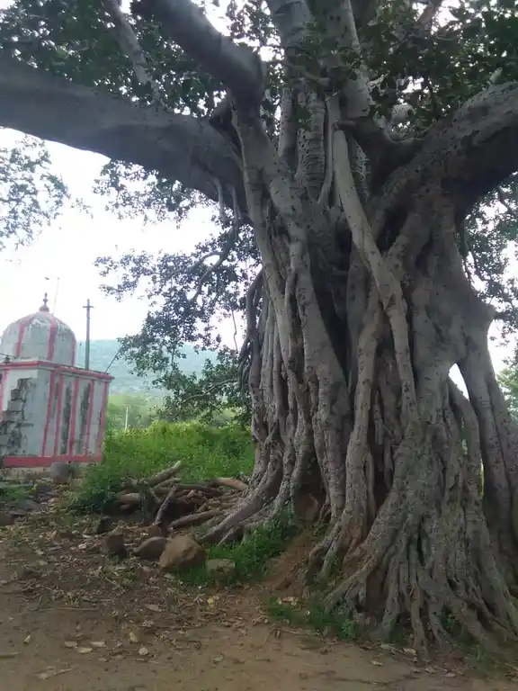 Arulmigu Perumal Temple, Kotaipatti - 624403 அருள்மிகு பெருமாள் திருக்கோயில், Kotaipatti - 624403, Dindigul - Ancient Temple Architecture and History Image 2