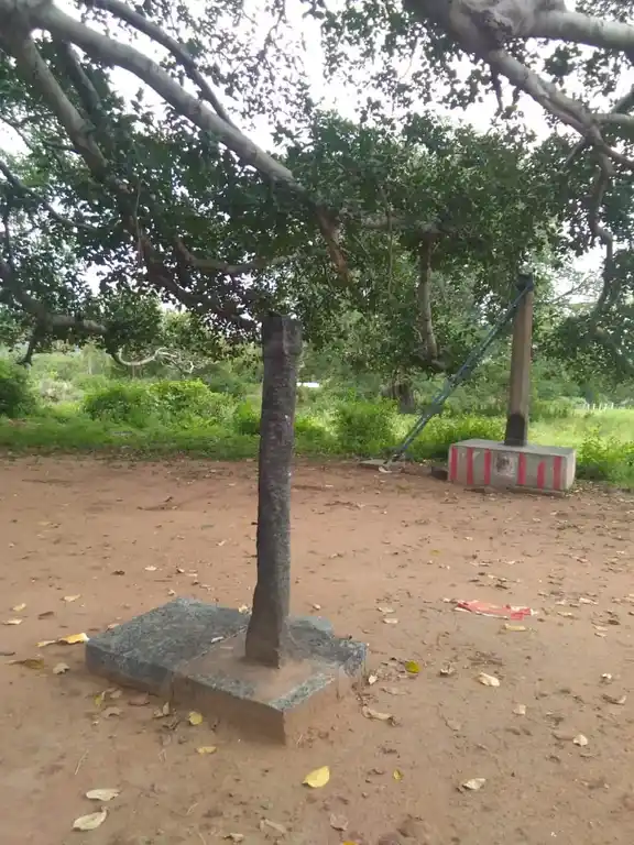 Arulmigu Perumal Temple, Kotaipatti - 624403 அருள்மிகு பெருமாள் திருக்கோயில், Kotaipatti - 624403, Dindigul - Ancient Temple Architecture and History Image 3