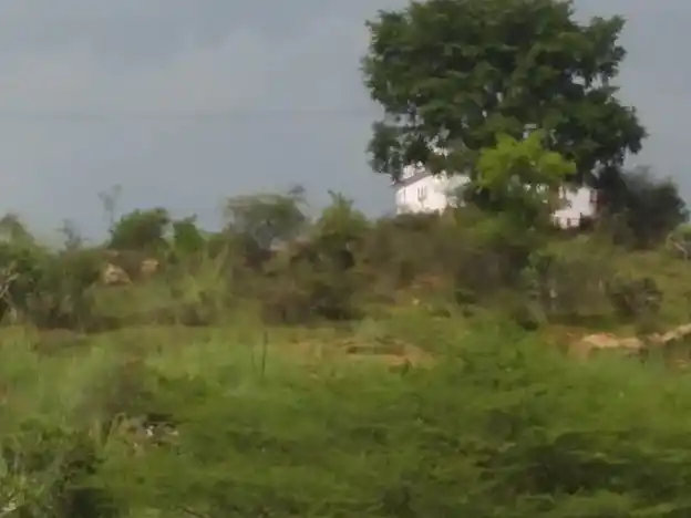 Arulmigu Perumal Temple, Kovilpatti - 625501 அருள்மிகு பெருமாள் திருக்கோயில், கோவில்பட்டி - 625501, Madurai - Ancient Temple Architecture and History Image 3