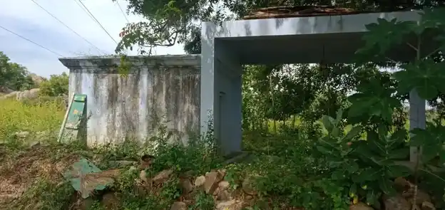 Arulmigu Perumal Temple, Kuppankottai - 636808 Temple