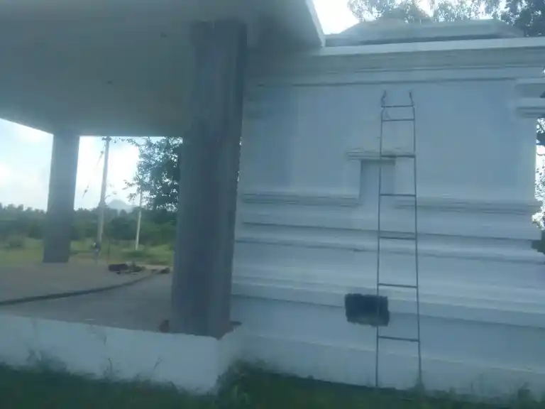 Arulmigu Perumal Temple, Naganapalli - 635108 அருள்மிகு பெருமாள் திருக்கோயில், நாகனப்பள்ளி - 635108, Krishnagiri - Ancient Temple Architecture and History Image 4