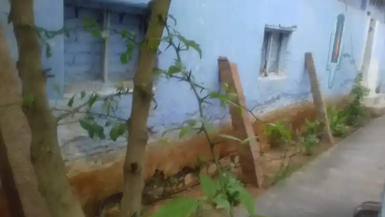 Arulmigu Perumal Temple, Neerathan, Neerathan - 625234 அருள்மிகு பெருமாள் திருக்கோயில், நீரேத்தான், நீரேத்தான் - 625234, Madurai - Ancient Temple Architecture and History Image 7